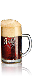 Schnaitl