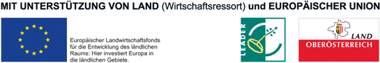 Mit Unterstützung von Land (Wirtschaftsressort) und Europäischer Union