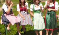 Bauernhofeis