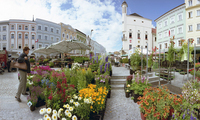Grünmarkt Ried