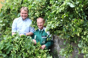 Baumgartner Hopfenernte aus Eigenanbau